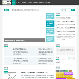 91知识网_就爱手工网_用心分享你兴趣的知识与热点话题