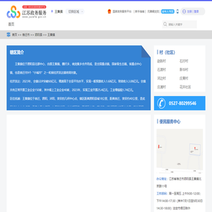 王集镇政务服务网