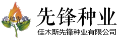 先锋种业,黑龙江大豆种子,佳木斯大豆种,佳木斯先锋种业有限公司,白瓜种子,绥农22,绥农26,黑农48,黑农52,黑农54,黑农60,黑农62,黑农68,东生2